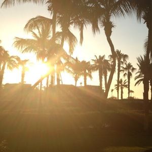 Meet your Posher, Imani